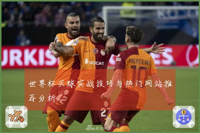 世界杯买球实战技巧与热门网站推荐分析