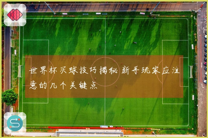 世界杯买球技巧揭秘 新手玩家应注意的几个关键点