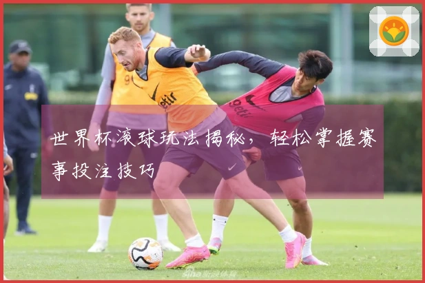 世界杯滚球玩法揭秘，轻松掌握赛事投注技巧