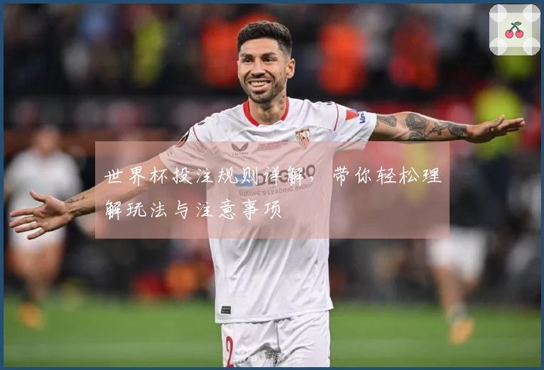 世界杯投注规则详解，带你轻松理解玩法与注意事项