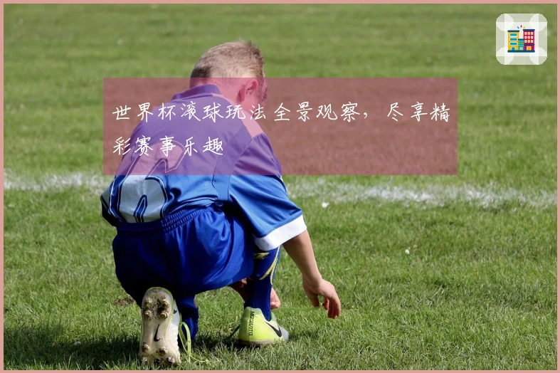 世界杯滚球玩法全景观察，尽享精彩赛事乐趣