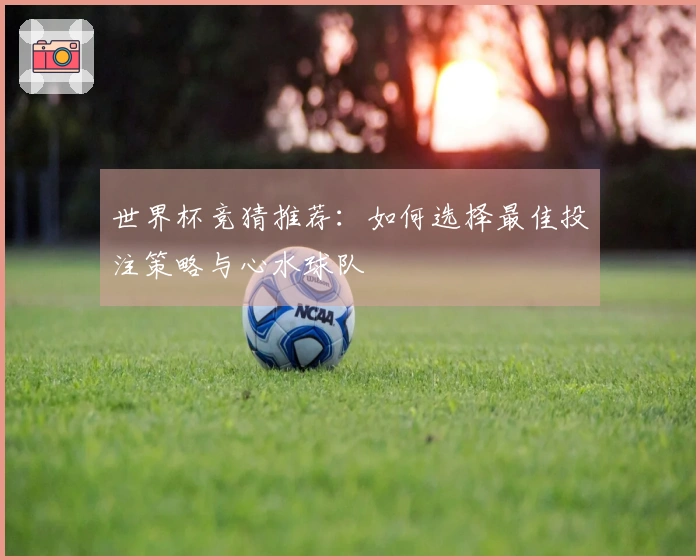 世界杯竞猜推荐：如何选择最佳投注策略与心水球队