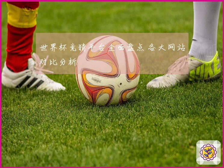 世界杯竞猜平台全面盘点 各大网站对比分析