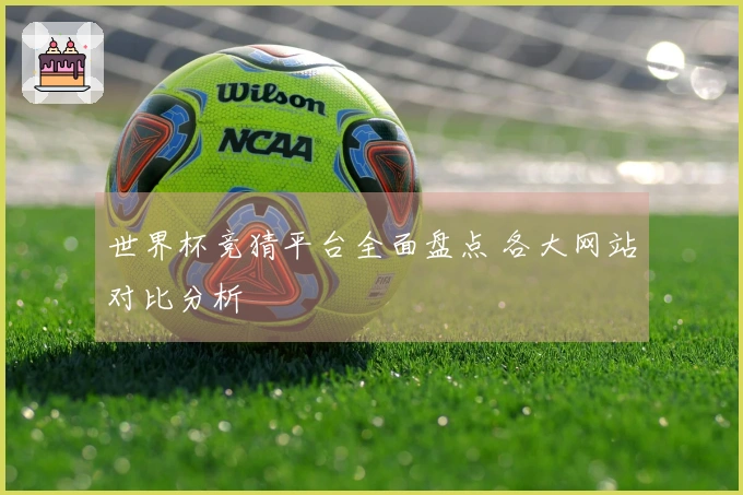 世界杯竞猜平台全面盘点 各大网站对比分析