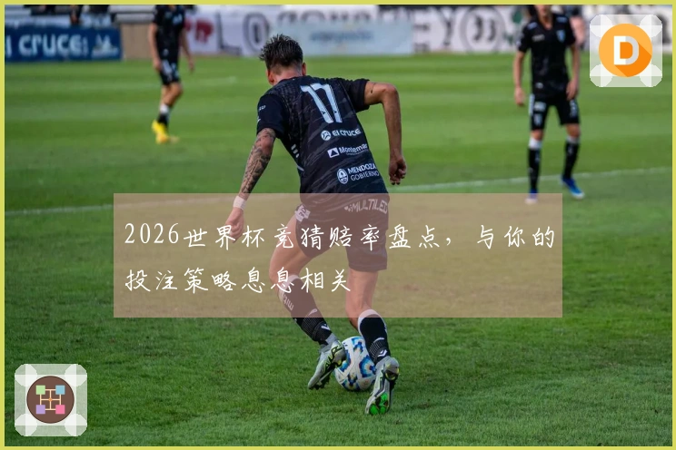 2026世界杯竞猜赔率盘点，与你的投注策略息息相关